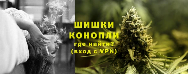 бошки Мегион
