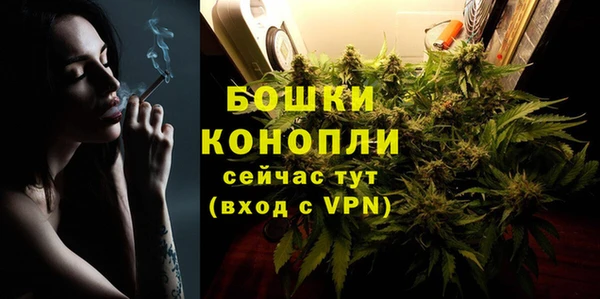 бошки Мегион