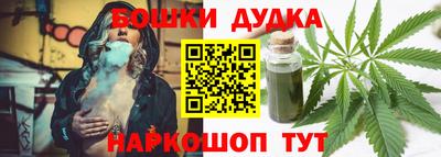 jwh Бийск