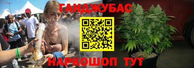 jwh Бийск