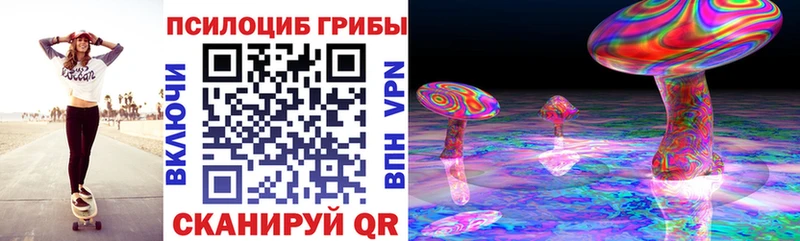 Псилоцибиновые грибы Psilocybe  Егорьевск 