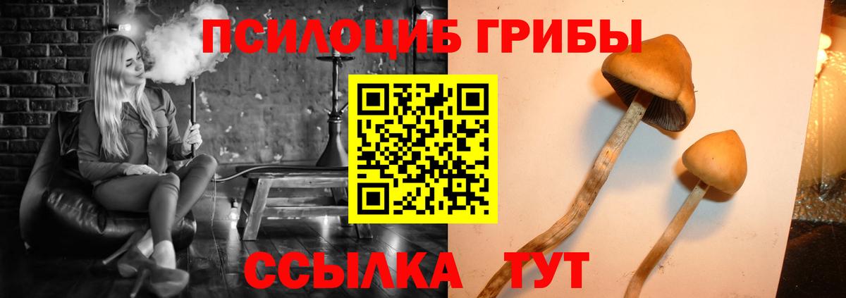 что такое   Вход с VPN  Егорьевск  Псилоцибиновые грибы мухоморы  Псилоцибиновые грибы Magic Shrooms 